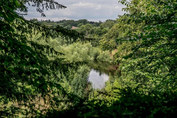 The Northern Echo: The River Tees from the garden of No 45. Picture: SARAH CALDECOTT